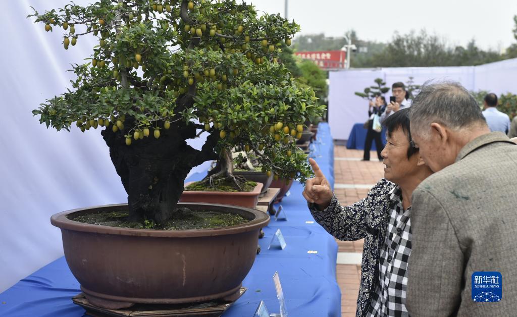 澳门万胜博在线注册官方网站
